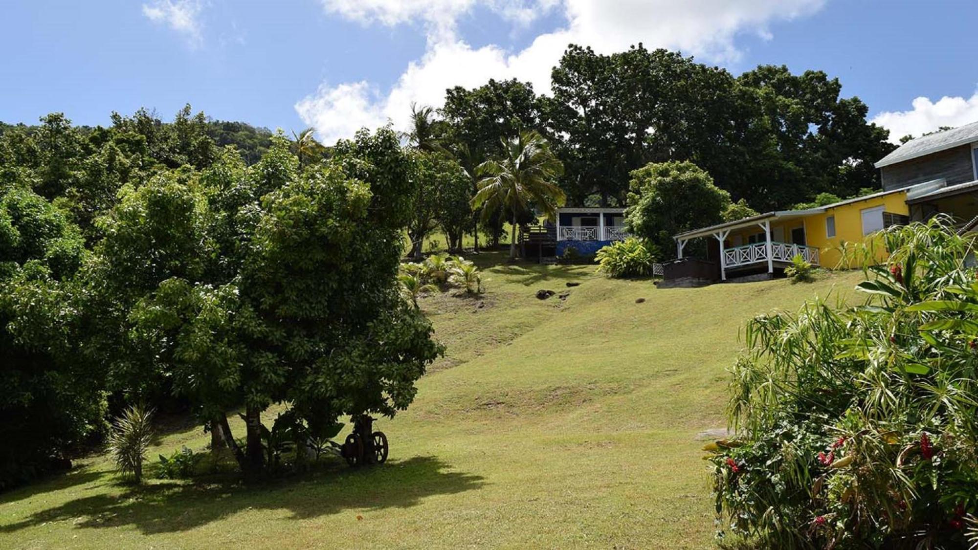 Villa Habitation Pineau Deshaies Esterno foto