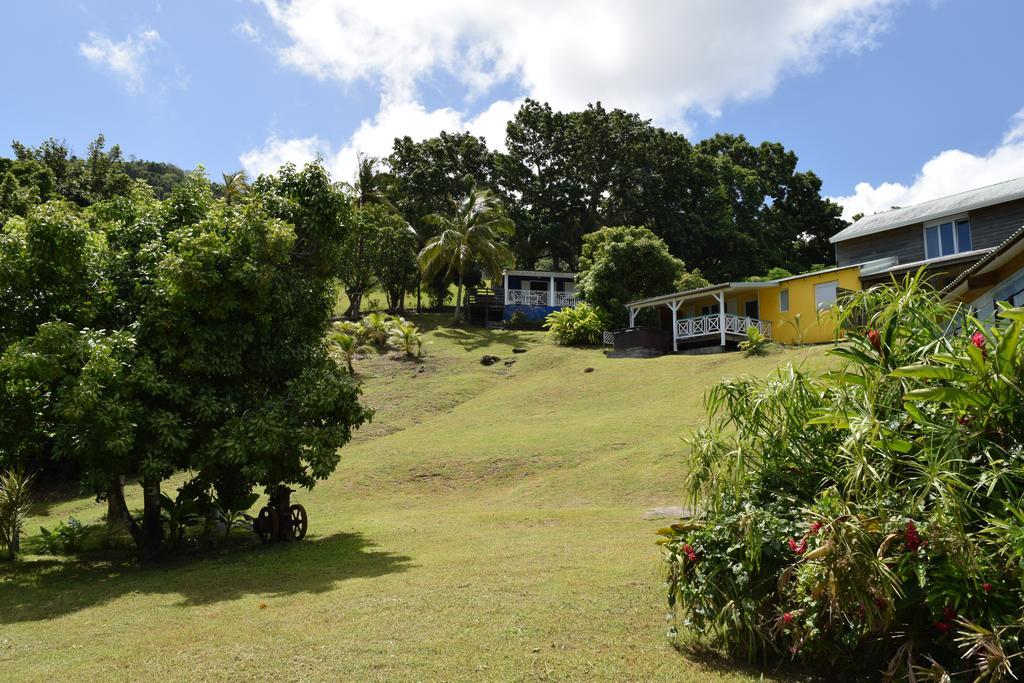 Villa Habitation Pineau Deshaies Esterno foto